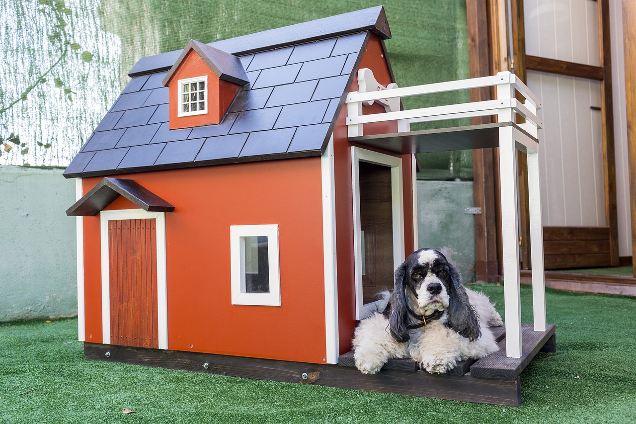 kennels for pets, dog houses, nature